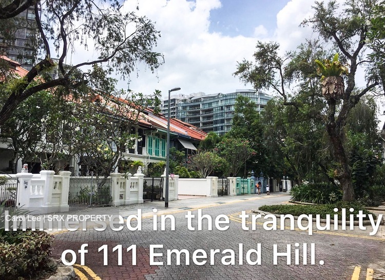 111 Emerald Hill (D9), Apartment #166347792
